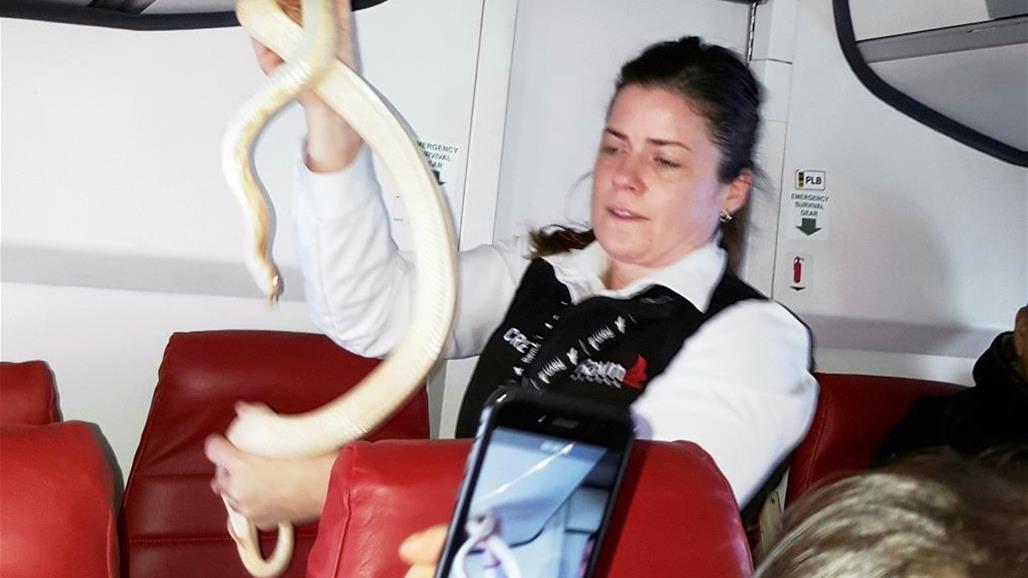 ثعبان يثير الذعر بين ركاب طائرة أمريكية