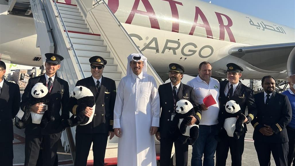 استقبال حافل وهدية ثمينة.. زوجي الباندا "سهيل وثريا" يصلان قطر (فيديو)