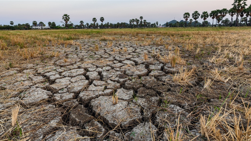 الاقتصاد العالمي يدفع ثمن موجات الحر.. الدول الفقيرة في الصدارة