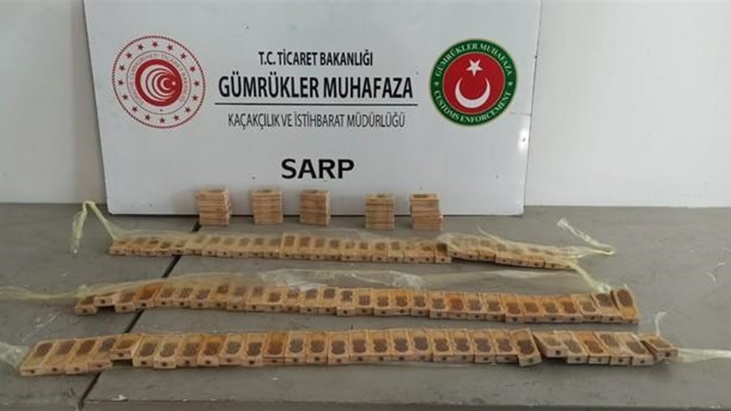 تم تخبئتها بطريقة غريبة.. إحباط محاولة تهريب 1100 نحلة