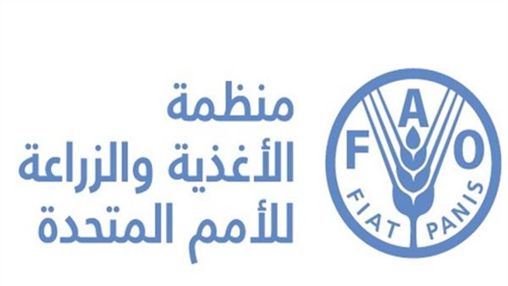 تكاليف استيراد الغذاء ترتفع إلى مستوى قياسي