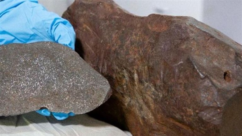 بعد 7 أعوام من العثور عليها.. اعتقدها صخرة فكانت المفاجأة أثمن