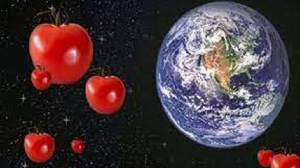 &quot;ناسا&quot; تسعى لزراعة الطماطم في الفضاء
