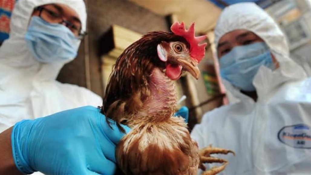 "الأكثر تدميراً" في تاريخها.. فيروس "خطير" يضرب أوروبا ويهدد 37 دولة