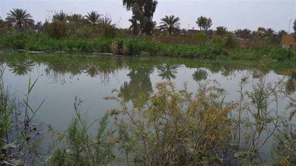 كربلاء: الفلاحون يطالبون بالاستفادة من مياه السيول وخزنها