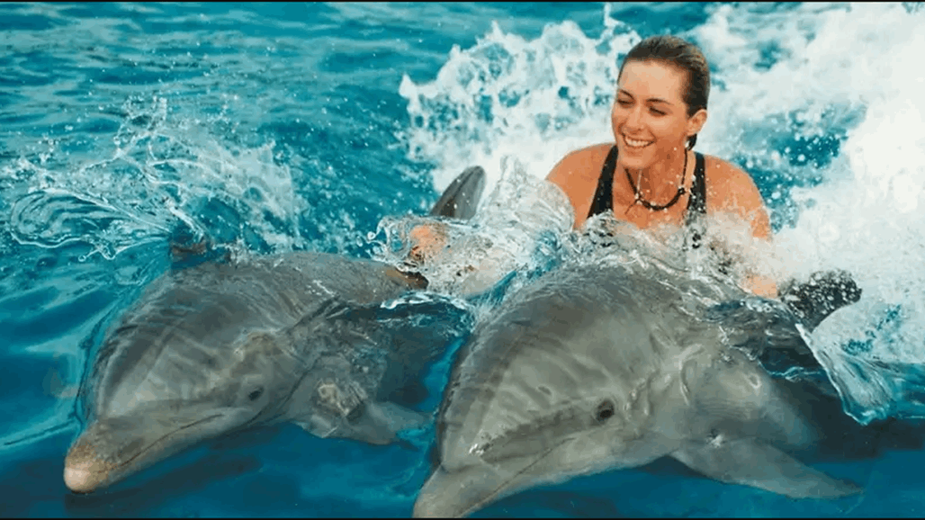 مراهقة تسبح مع الدلافين.. ثم وقعت مأساة