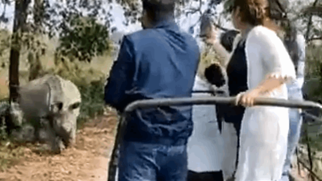 نجوا منه بأعجوبة.. وحيد قرن يهاجم سياحا برحلة سفاري (فيديو)