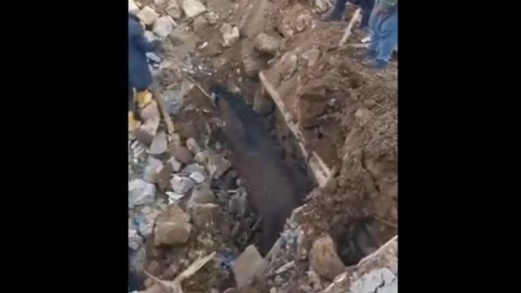 لحظة إنقاذ حصان بعد 21 يوماً من تحت أنقاض الزلزال (فيديو)