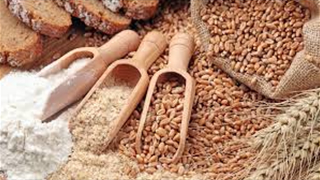 مصر تنسحب من اتفاقية تجارة الحبوب الدولية