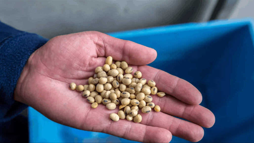 "غير مقبولة".. أوكرانيا تعترض على قيود بولندا بشأن المنتجات الزراعية 