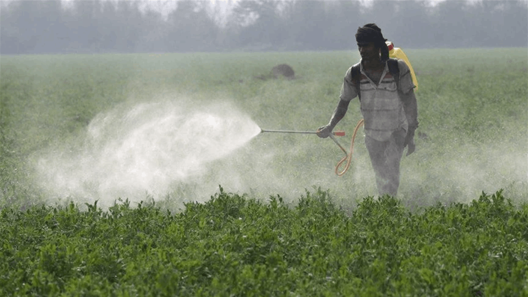 خطأ فادح في الزراعة العراقية يُهدّد بأمراض خطيرة!.. هذا ما قاله المختصون  