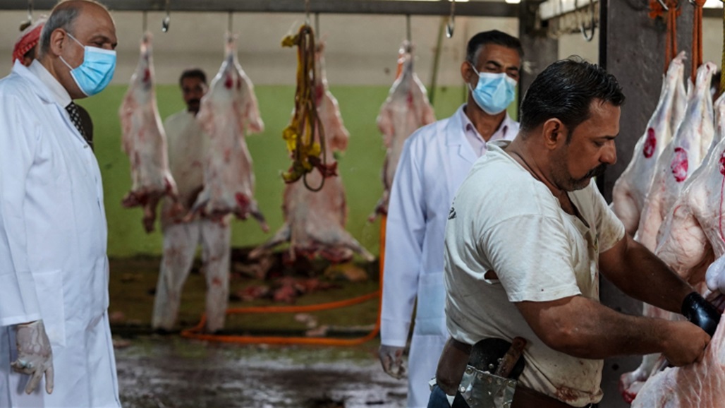 إصابات الحمى النزفية ترتفع في العراق.. عقوبات تصل إلى "الحبس" للقصابين المخالفين 