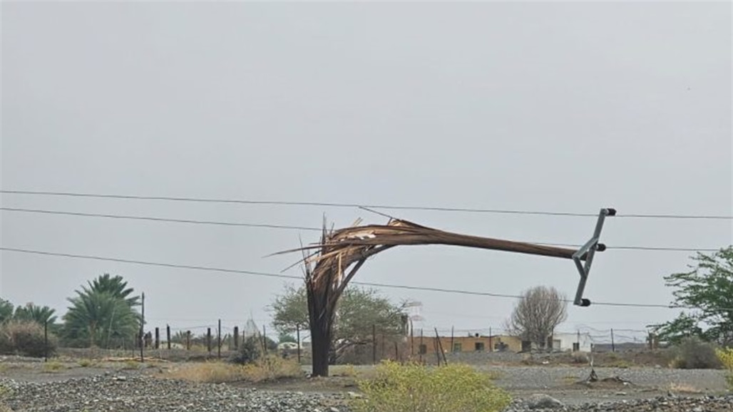 عاصفة رعدية شديدة تقتلع الأعمدة الكهربائية في سلطنة عمان (فيديو)