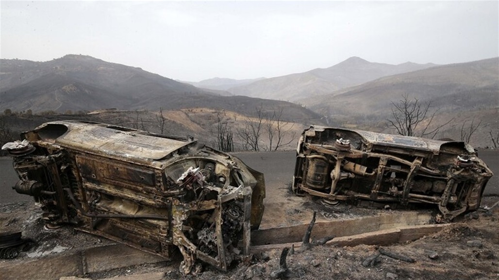تطورات جديدة تخص "حرائق الغابات" في الجزائر