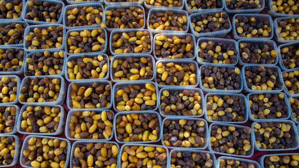 العراق يعود للمنافسة في الأسواق العالمية للتمور.. يمتلك أكثر من 600 نوع