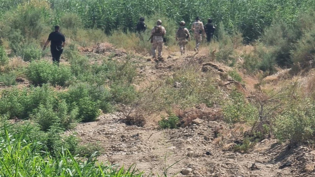 ‏ لحماية أبراج الطاقة.. انطلاق عملية تفتيش للحدود الفاصلة بين ثلاث قيادات عمليات 