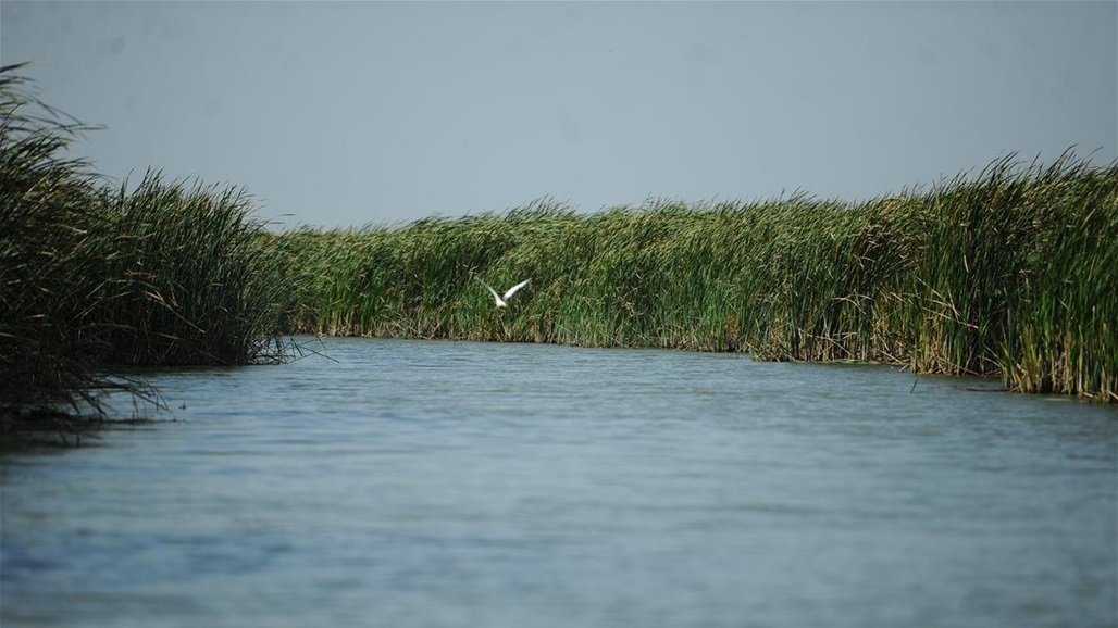 التفاصيل الكاملة لنشوب حريق في "هور الحويزة" بالعراق.. صور الأقمار الصناعية أظهرت ذلك 