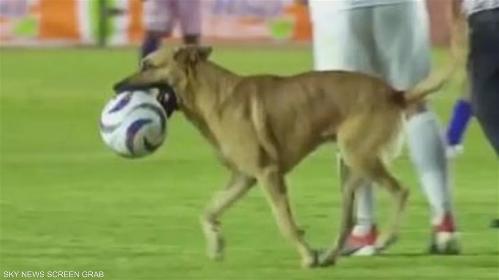 حادثة طريفة.. كلب يقتحم مباراة ويسرق الكرة (فيديو)