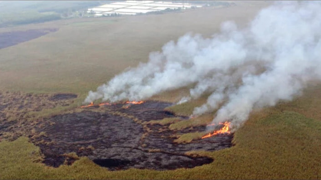 حريق يلتهم هور العظيم ودخانه يصل للأراضي الإيرانية.. هذه تفاصيله  
