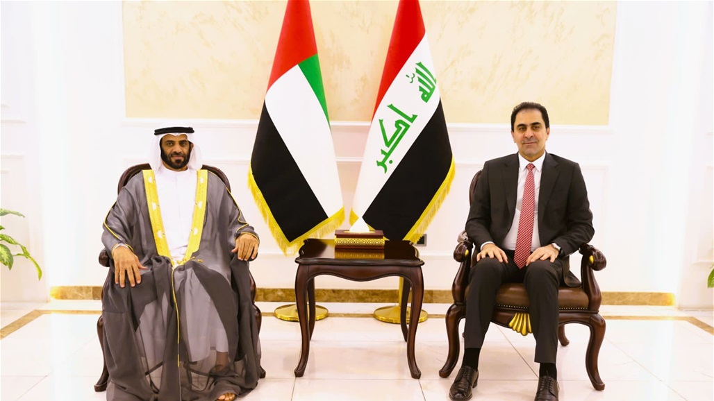 المندلاوي يدعو الدول العربية لموقف موحد تجاه العمليات الهمجية لإسرائيل 