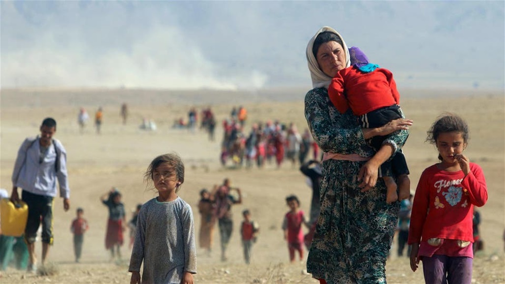 الهجرة تعلن عودة أكثر من 1000 نازح إيزيدي الى سنجار