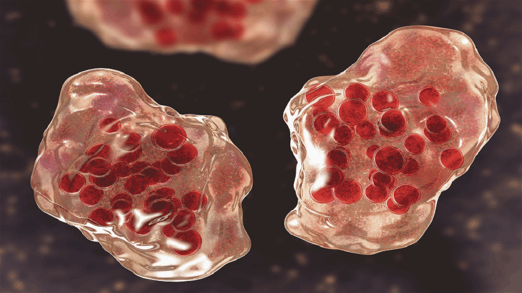 تحذير من وباء قد يكون "الأكثر فتكا" بتاريخ البشرية!