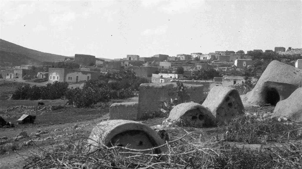 فازت بها "الهاغاناه" واستمرت 6 أشهر كاملة.. قصة "معركة الشجرة" في فلسطين