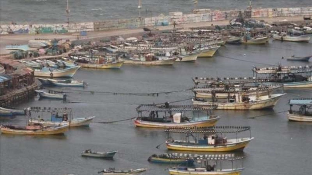 من 20 دولة.. ألف قارب تتوجه إلى سواحل غزة