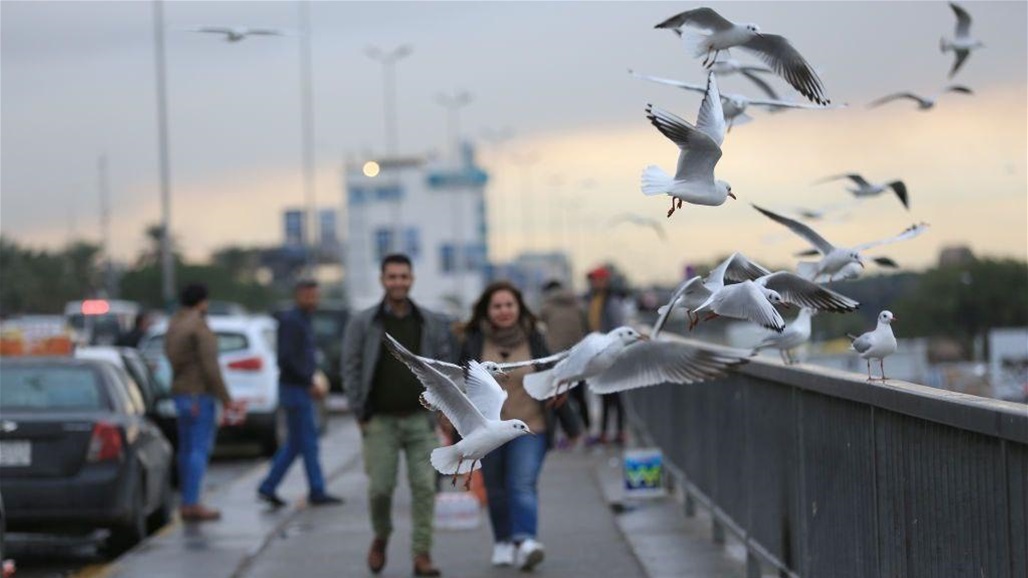 طقس العراق من زاخو إلى الفاو.. عودة للأمطار وارتفاع في الحرارة