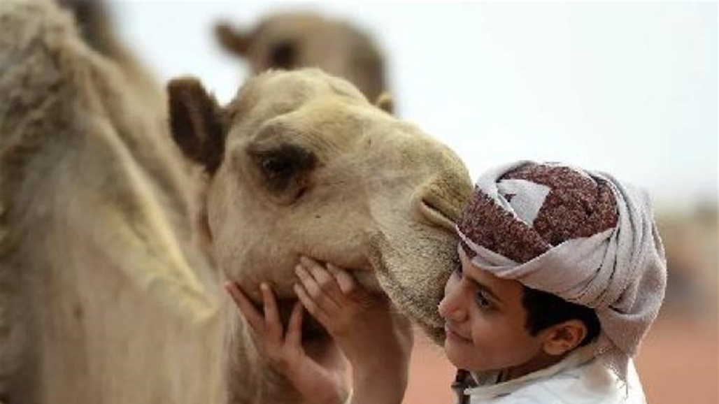 عالجتهم "ببول الابل".. دكتورة تسببت بوفاة 13 شخصا في السعودية (فيديو)