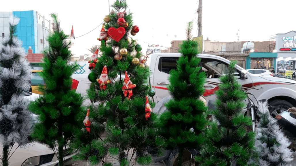 متفوقا على دول مسيحية.. العراق الـ87 عالميا باستيراد أشجار الكريسماس