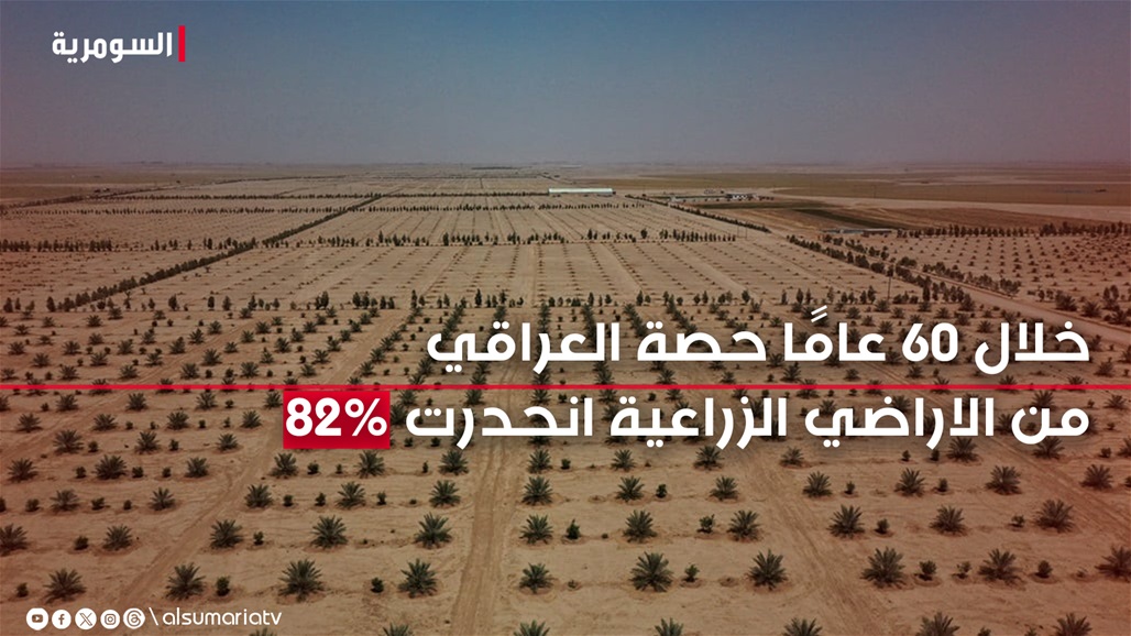انحدرت 82% خلال 60 عامًا.. مراجعة تاريخية لحصة الفرد العراقي من الأراضي الزراعية