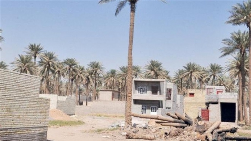 اكمال 60% من مراحل التحويل.. الكشف عن نوع الاراضي الزراعية المشمولة بـ"التطويب"