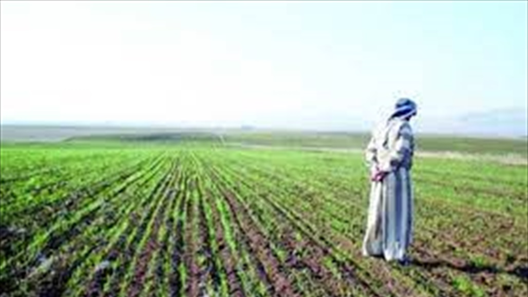 العراق.. نصف الأراضي الصالحة للزراعة خرجت عن الخدمة بسبب الجفاف