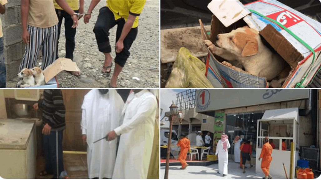 السعودية.. الكشف عن حقيقة بيع لحوم الكلاب في أحد المطاعم