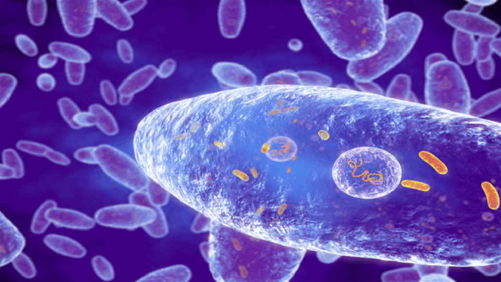 يهدد حياة الأطفال.. مرض مميت يجتاح أستراليا 