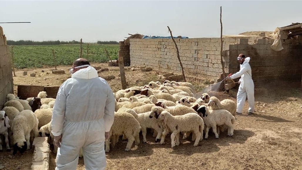 نينوى تسجل ثاني إصابة بـ&quot;الحمى النزفية&quot; خلال أسبوع