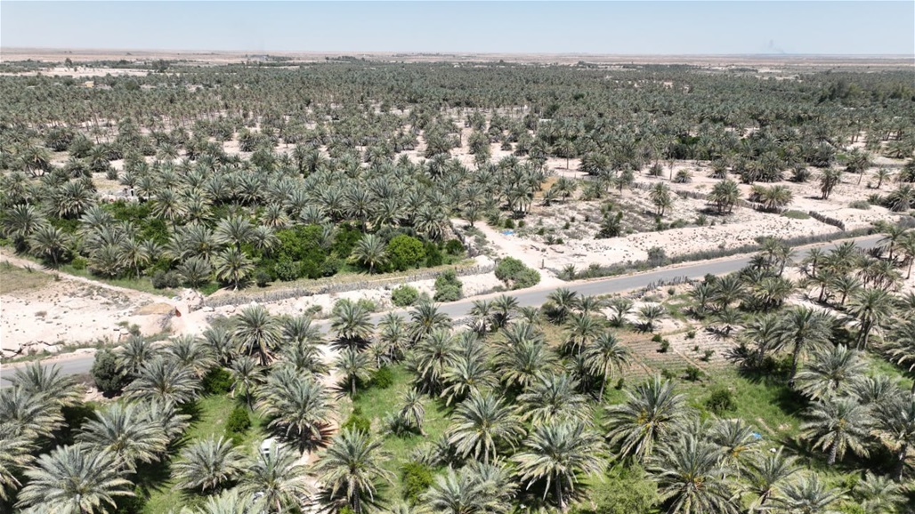 الموارد المائية تعلن استخدام تقنيات الري الحديثة لإرواء 900 دونم في كربلاء