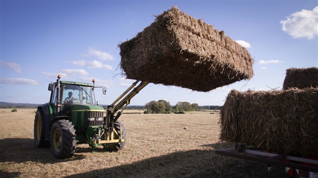 بعد توقف دام 6 سنوات.. الهند تستأنف استيراد القمح 