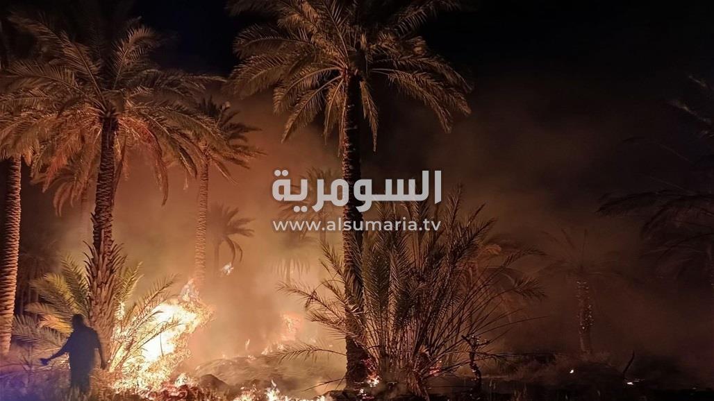 في كربلاء.. حريق يطال أحد البساتين (صور)