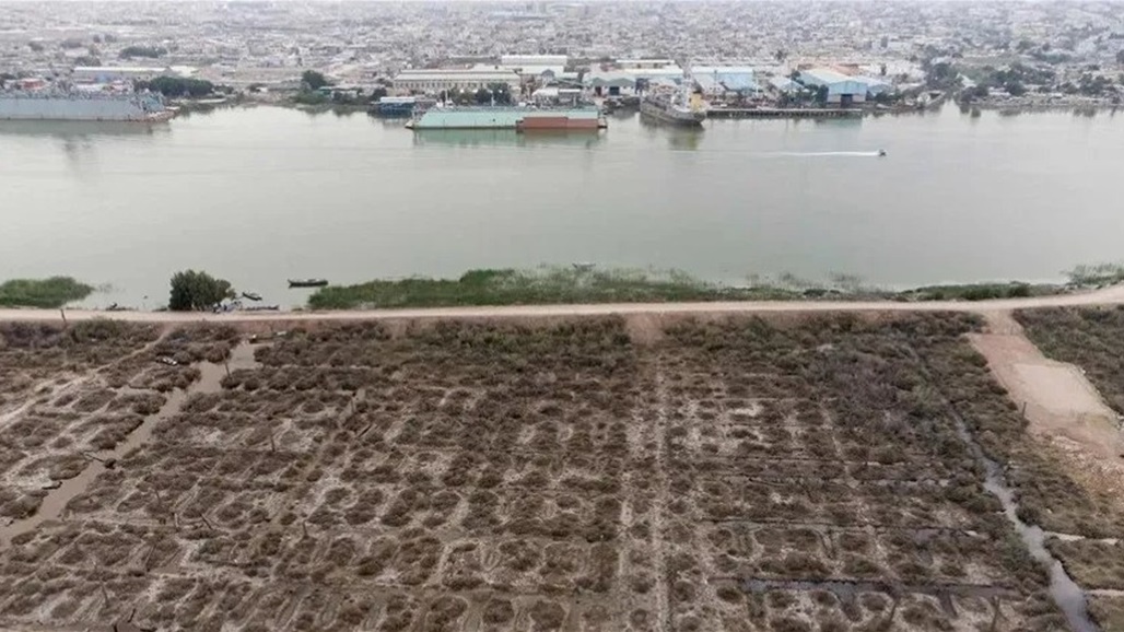 ارتفاع الأشعة فوق البنفسجية في العراق لمستويات "تحرق الأشجار".. ما السبب؟