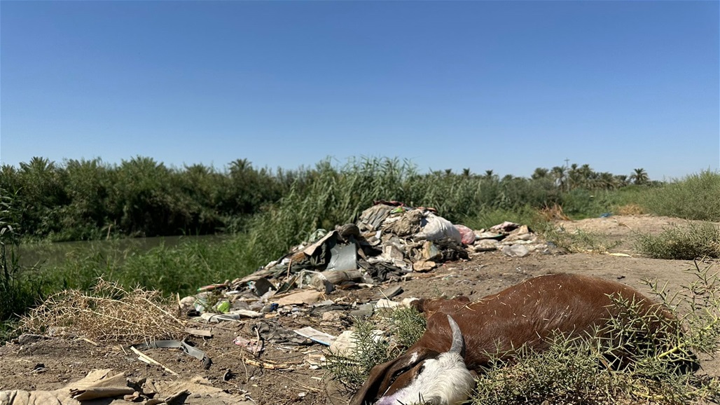 مخاوف من "إبادة بيئية" في الديوانية.. محطة خيري ترمي مياه المجاري في النهر مباشرة 