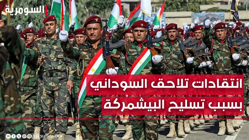 ازدواجية مقيتة وسابقة خطيرة.. نائبة تستقرئ "معنى تسليح البيشمركة بالمدافع"