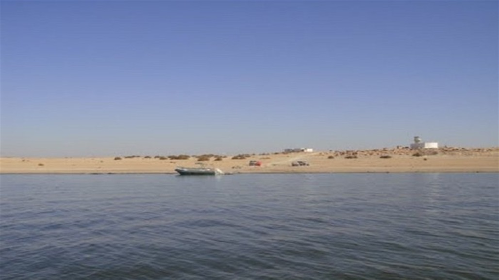 ضبع يثير الرعب في الرزازة.. صورة