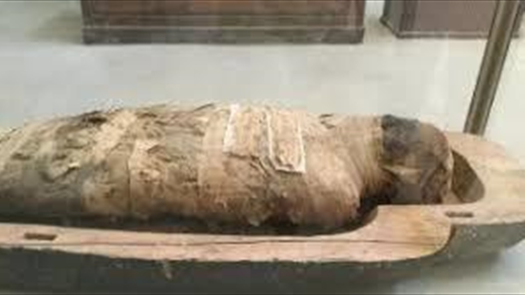 بألسنة وأظافر ذهبية.. اكتشاف أثري فريد لمومياوات مصرية (صور) 