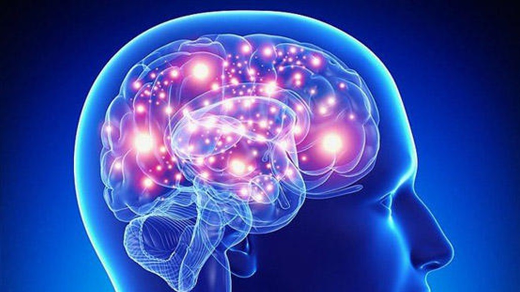 حلان سحريان لتعزيز وظائف المخ.. تعرف عليهما! 