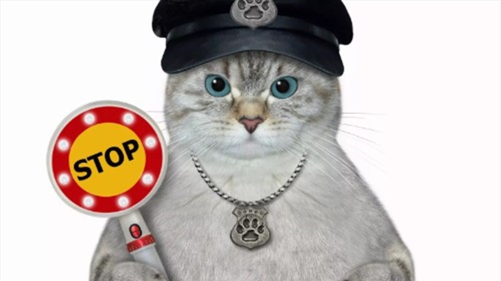 قط يحصل على رتبة عسكرية