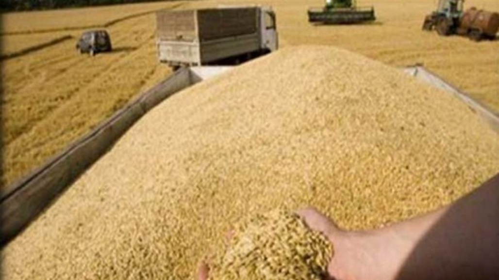 بعد شهر من الموافقة.. العراق يتراجع عن تصدير الحنطة الفائضة "خوفا من الظروف الطارئة"