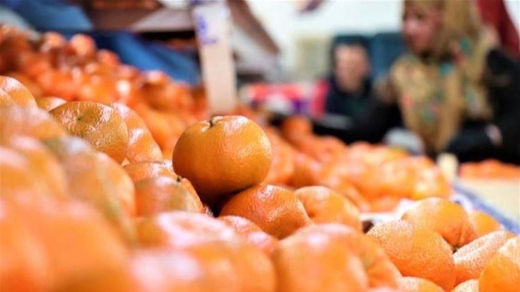 العراق يستورد حمضيات من تركيا بنحو 100 مليون دولار