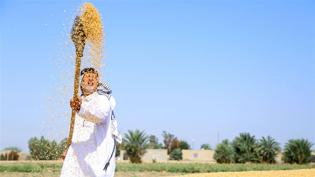 الجمعيات الفلاحية ترفض تسعيرة التجارة للحنطة وتهدد باعتصام